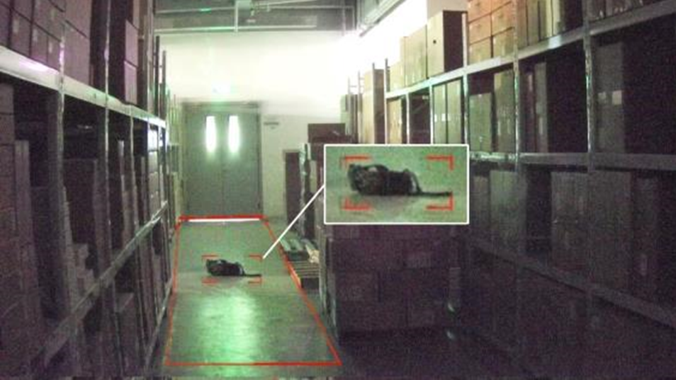 安鑫娱乐(中国游)官方网站