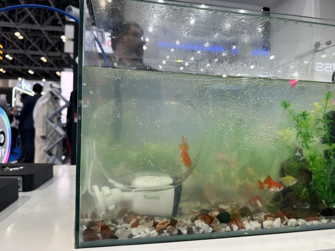 安鑫娱乐(中国游)官方网站