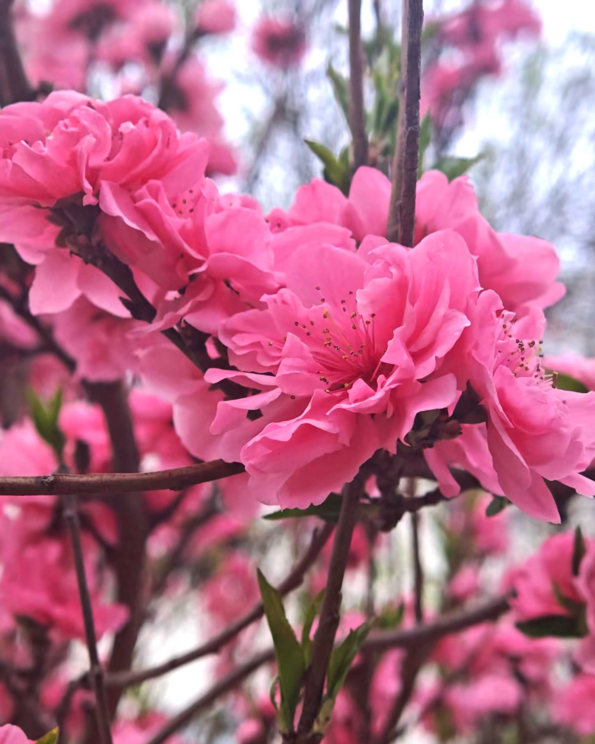 安鑫娱乐(中国游)官方网站