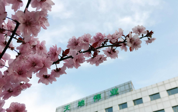 安鑫娱乐(中国游)官方网站