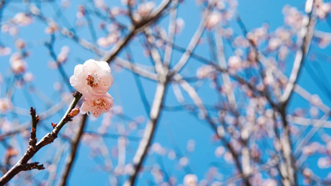 安鑫娱乐(中国游)官方网站