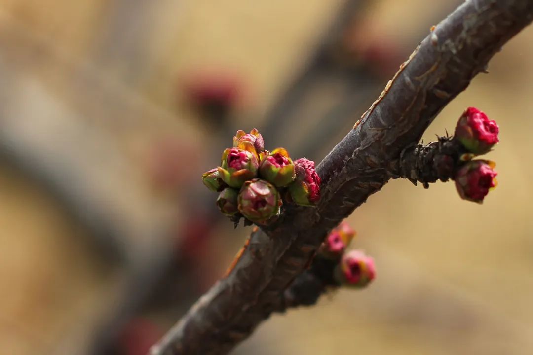 安鑫娱乐(中国游)官方网站